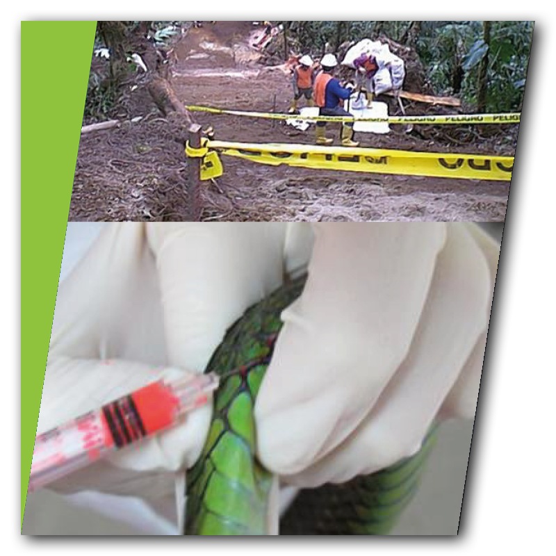 estudios ambientales-4