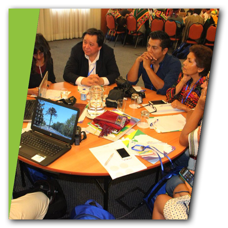 estudios ambientales-4