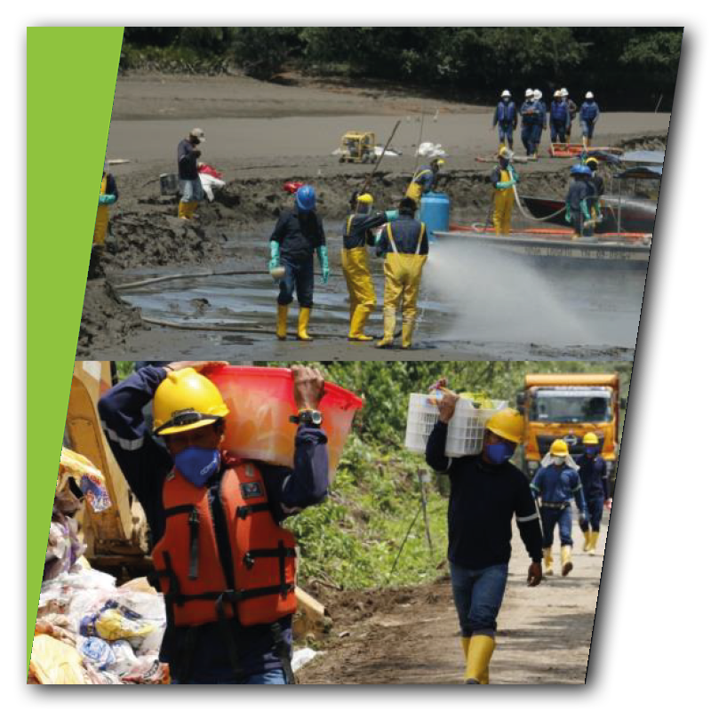 estudios ambientales-4